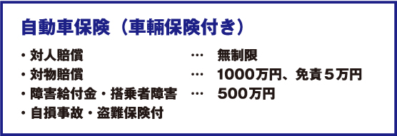 自動車保険（車輛保険付き）